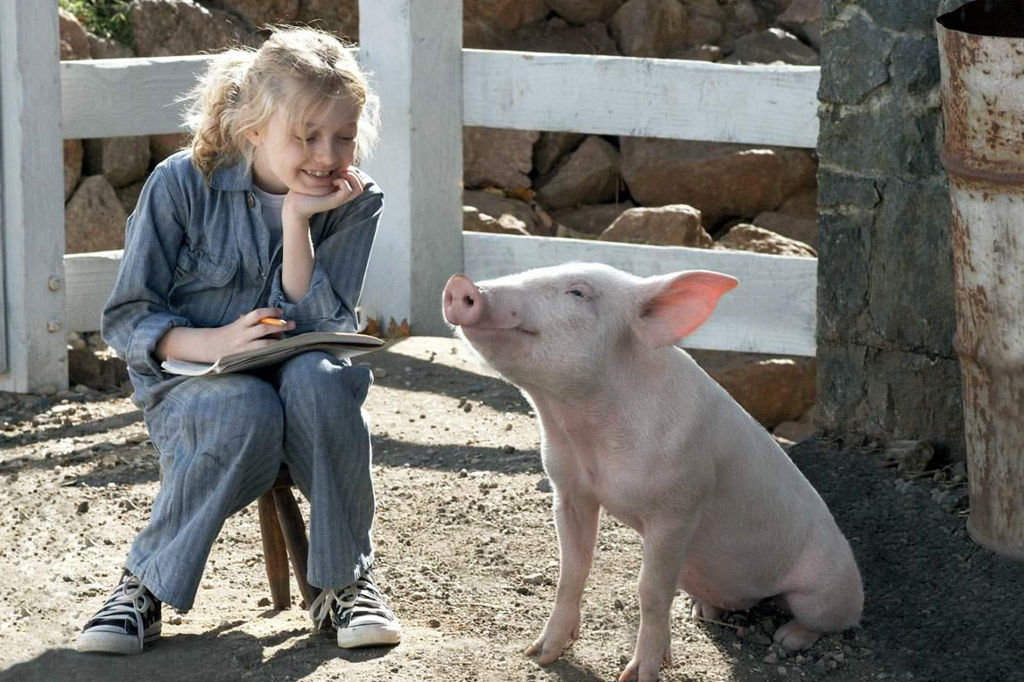 Porcos têm personalidade – sendo neuróticos ou otimistas