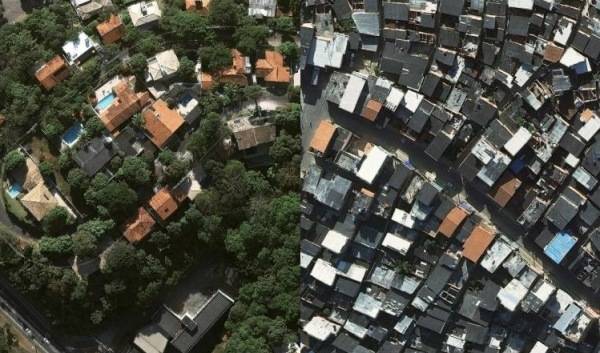 Desigualdade social pode ser medida por presença de árvores