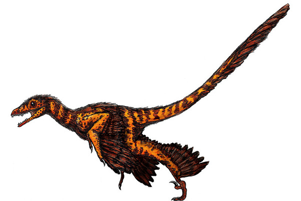 feathersaurus