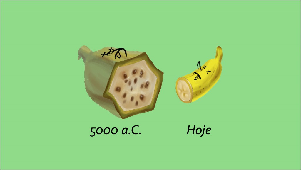 Andr&eacute; Valente