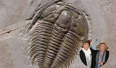 trilobita-homagem-keith-ric