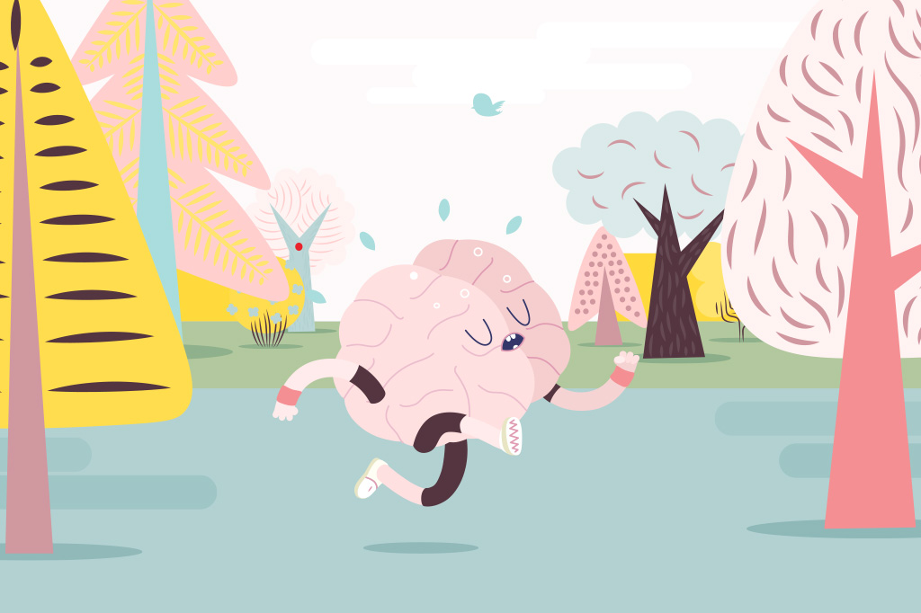 Ginástica de cérebro não funciona