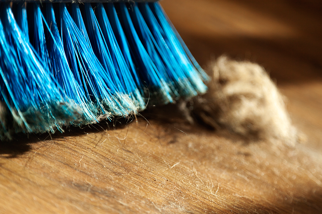 Esta é a melhor forma de varrer o chão, de acordo com a ciência