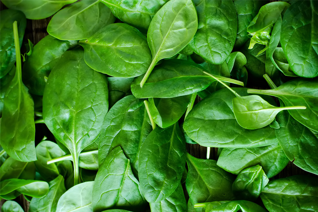 4 alimentos que protegem a saúde – e ajudam a queimar gordura 4 alimentos que protegem a saúde – e ajudam a queimar gordura