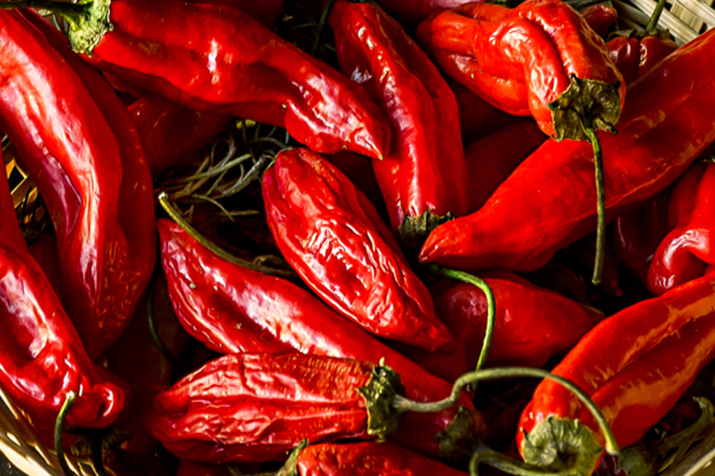 4 alimentos que protegem a saúde – e ajudam a queimar gordura 4 alimentos que protegem a saúde – e ajudam a queimar gordura