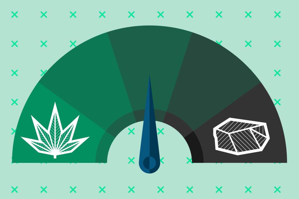 Maconha pode ser usada para amenizar vício em crack