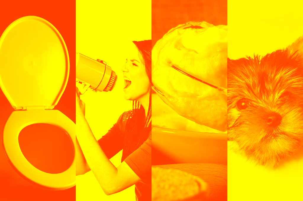 11 palavras alemãs com traduções ao pé da letra