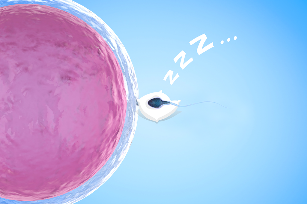 O novo método contraceptivo – unissex e feito de plantas