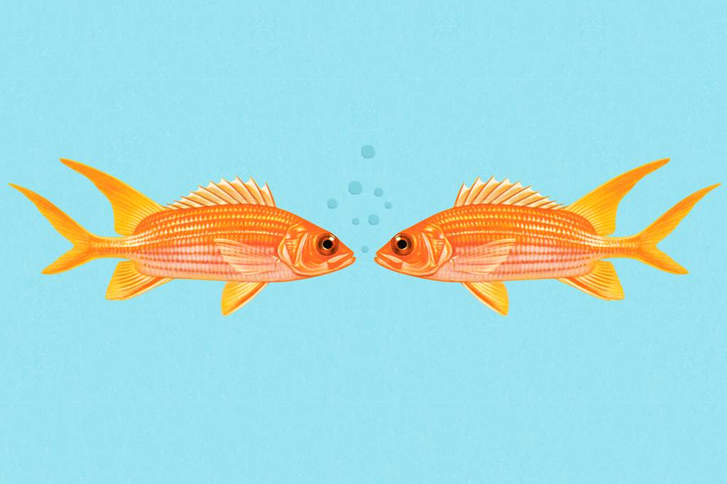 Peixe gera espontaneamente um clone de si mesmo