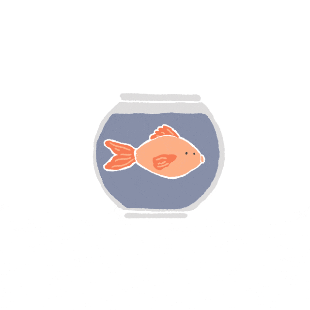 Peixes se comunicam soltando puns