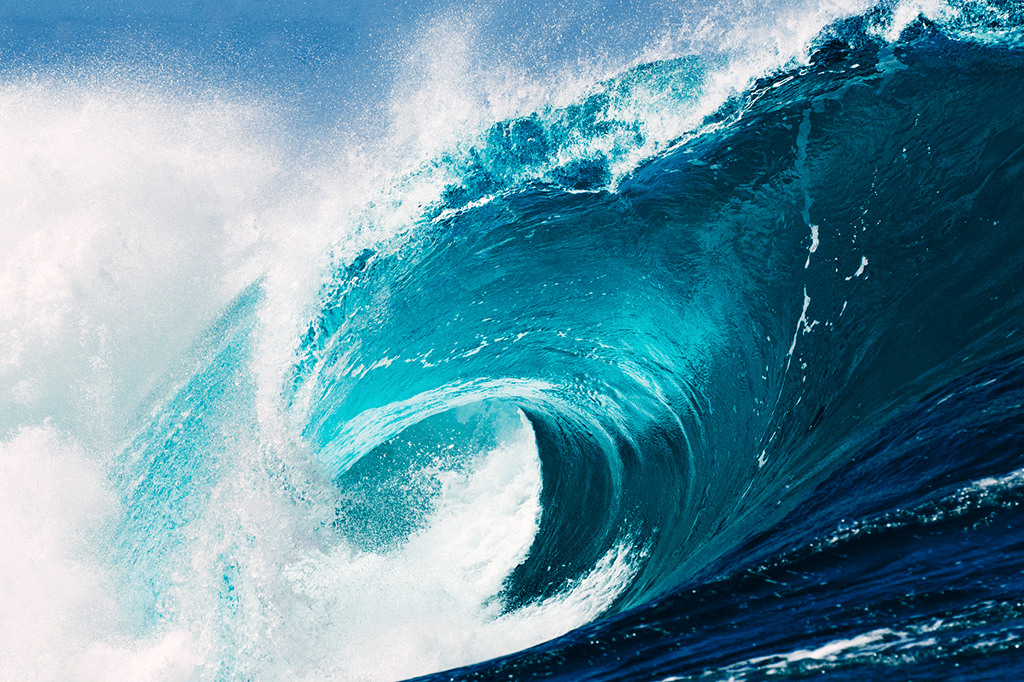 Veja o que você come quando engole água do mar