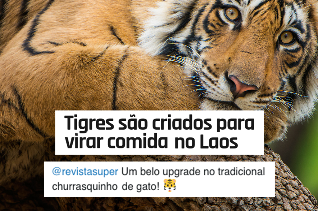 Os melhores comentários da semana (05/06 – 09/06)