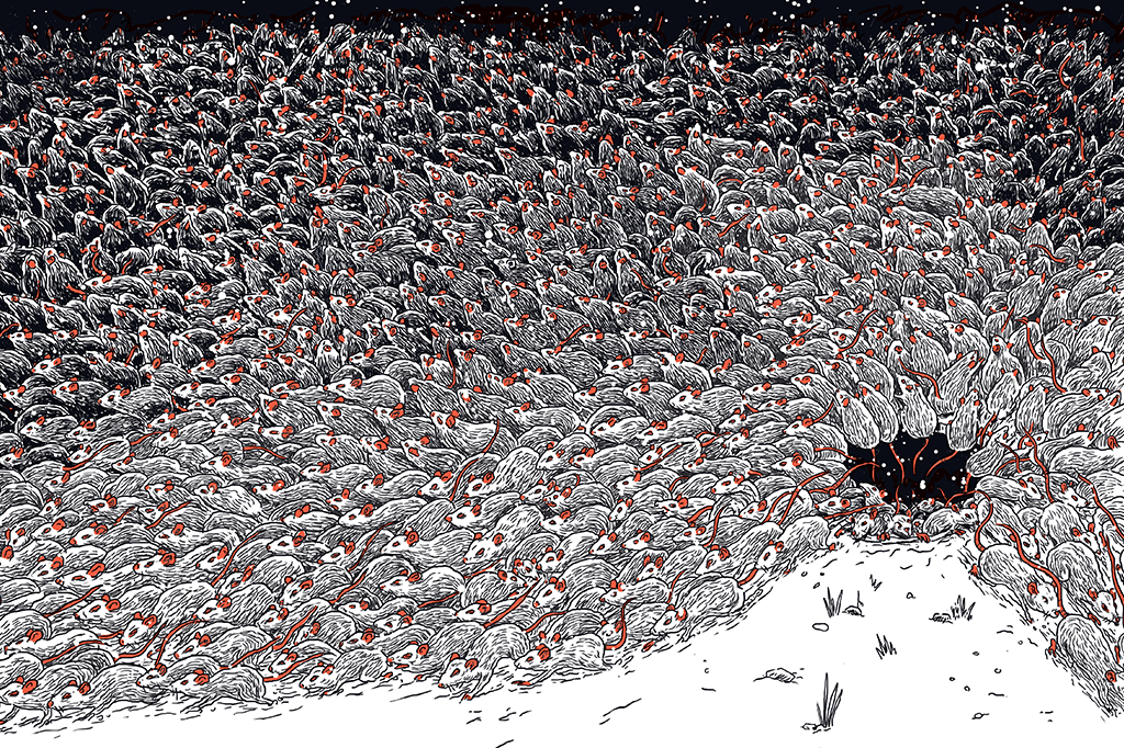 Onde os ratos não têm vez