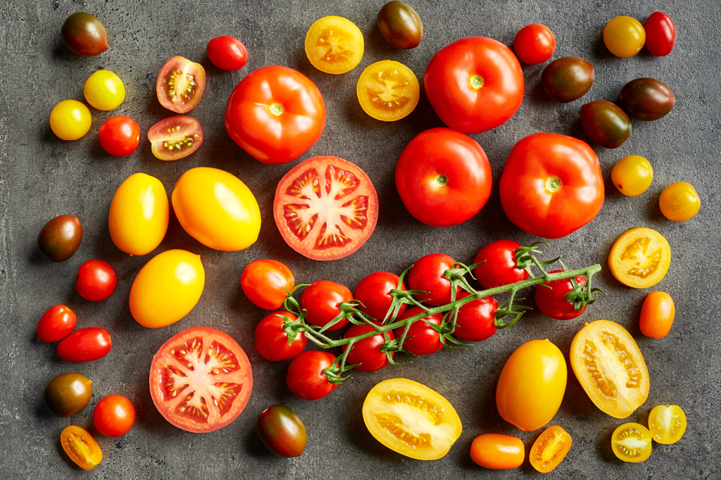 Extrato de tomate pode barrar câncer de estômago