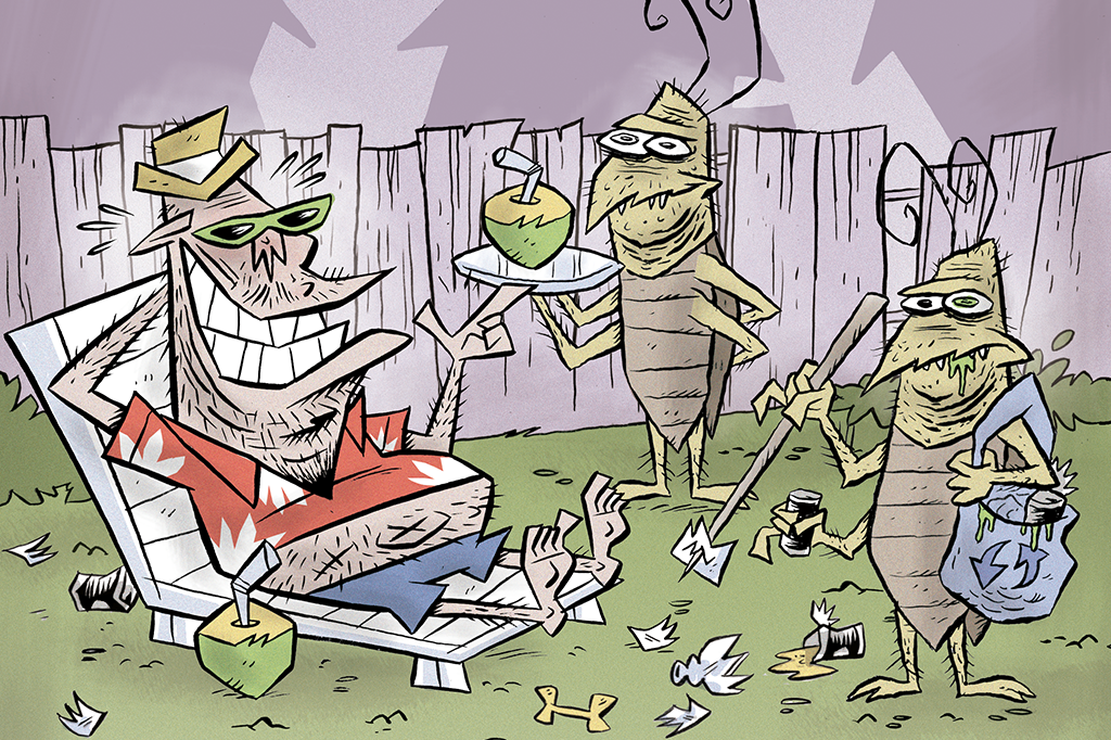 Baratas servem para algo de bom?