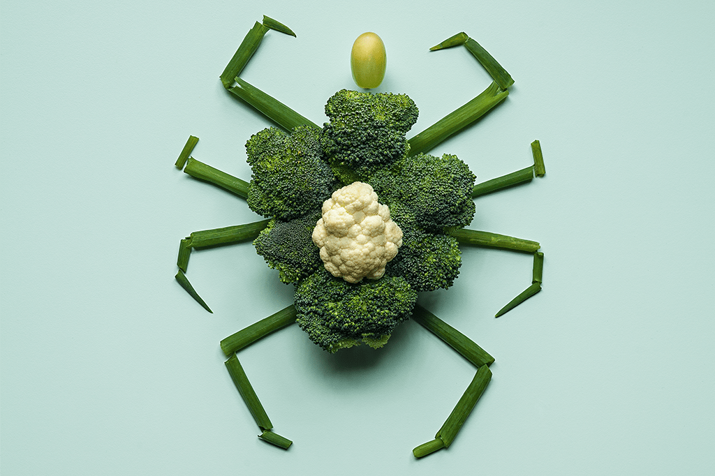 Carrapato transmite uma nova doença: alergia a carne