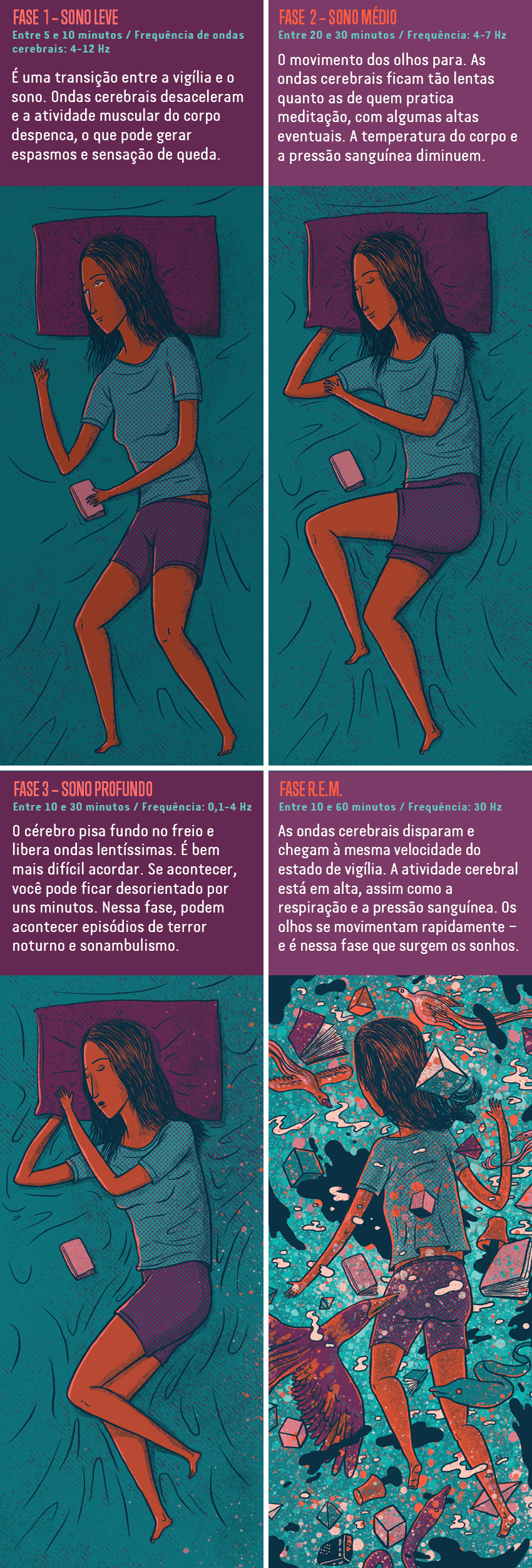 Fase 1: Sono leve. Entre 5 e 10 minutos. Frequência de ondas cerebrais: 4-12 Hz. É uma transição entre a vigília e o sono. Ondas cerebrais desaceleram e a atividade muscular do corpo despenca, o que pode gerar espasmos e sensação de queda. Fase 2: Sono médio. Entre 20 e 30 minutos. Frequência: 4-7 Hz. O movimento dos olhos para. As ondas cerebrais ficam tão lentas quanto as de quem pratica meditação, com algumas altas eventuais. A temperatura do corpo e a pressão sanguínea diminuem. Fase 3: Sono profundo. Entre 10 e 30 minutos. Frequência: 0,1-4 Hz. O cérebro pisa fundo no freio e libera ondas lentíssimas. É bem mais difícil acordar. Se acontecer, você pode ficar desorientado por uns minutos. Nessa fase, podem acontecer episódios de terror noturno e sonambulismo. Fase: R.E.M. Entre 10 e 60 minutos. Frequência: 30 Hz. As ondas cerebrais disparam e chegam à mesma velocidade do estado de vigília. A atividade cerebral está em alta, assim como a respiração e a pressão sanguínea. Os olhos se movimentam rapidamente – e é nessa fase que surgem os sonhos.