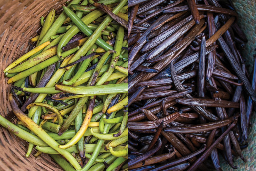 O verdadeiro preço da baunilha