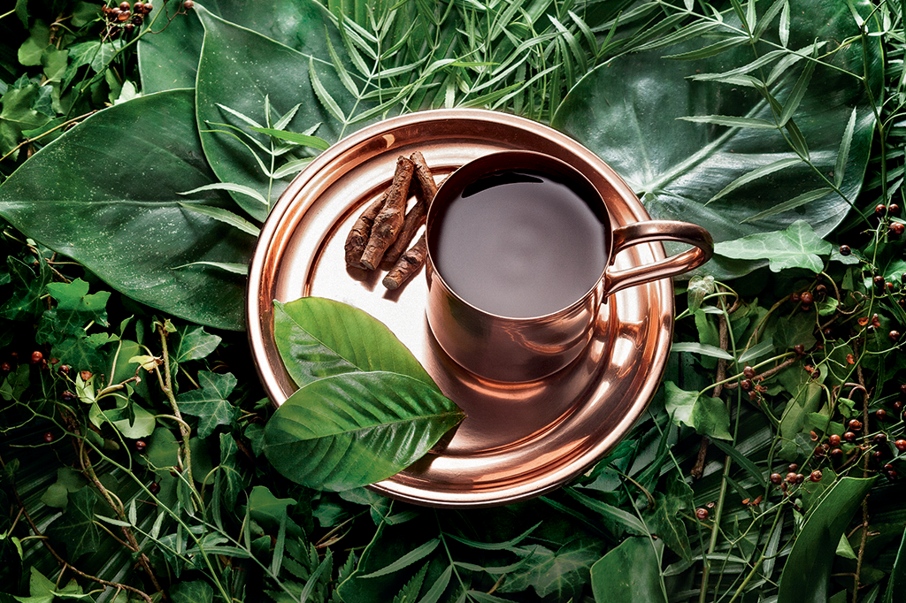 Ayahuasca: de ritual alucinógeno a item de luxo