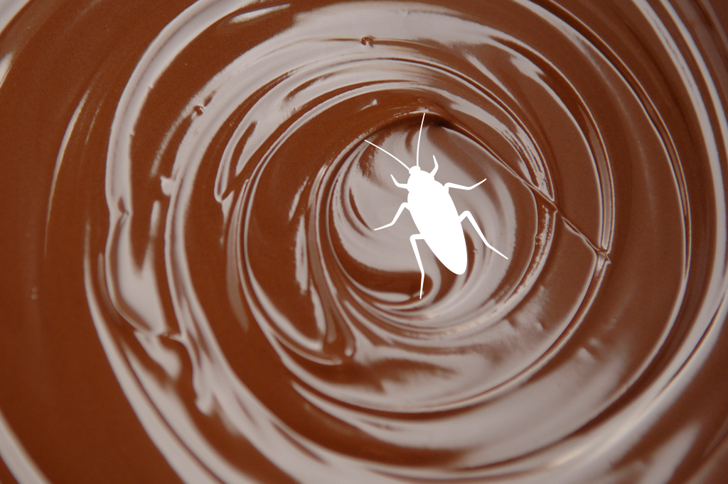 Chocolate contém pedaços de barata