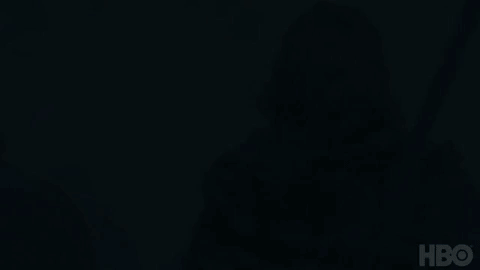 O c&atilde;o utilizando uma espada