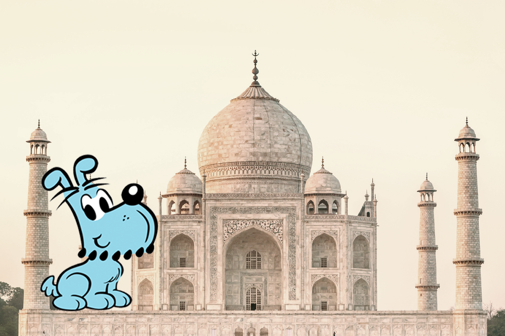 Cachorros da Índia estão ficando azuis por conta de rio poluído