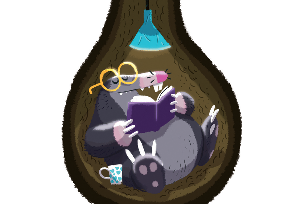 Por que pessoas pouco inteligentes são chamadas de toupeiras?