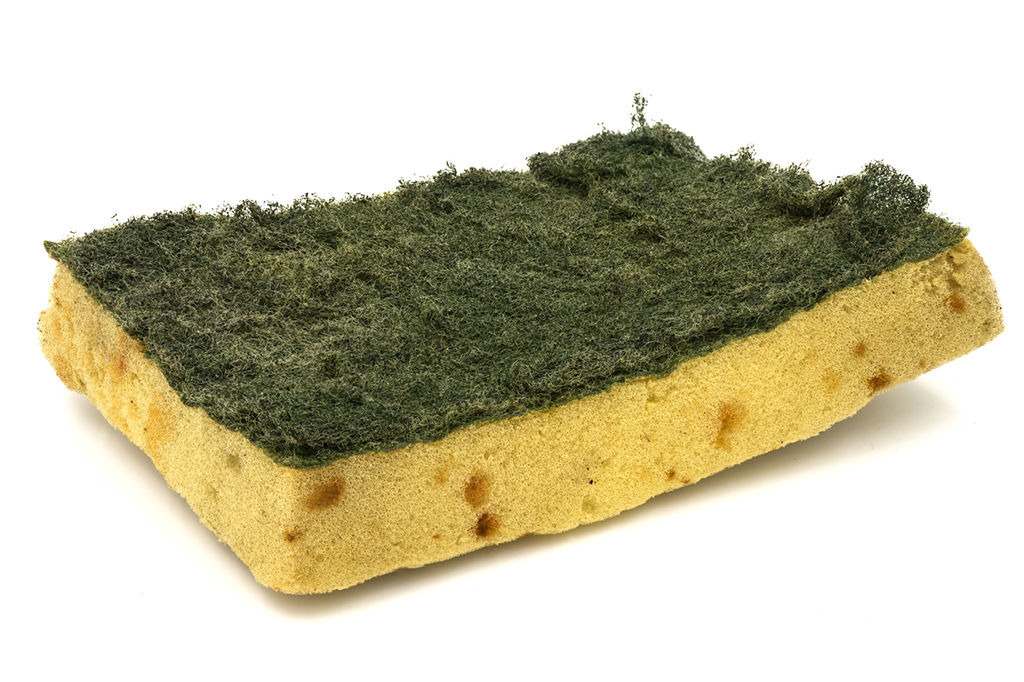 Você limpa a esponja da cozinha? Isso só piora a situação