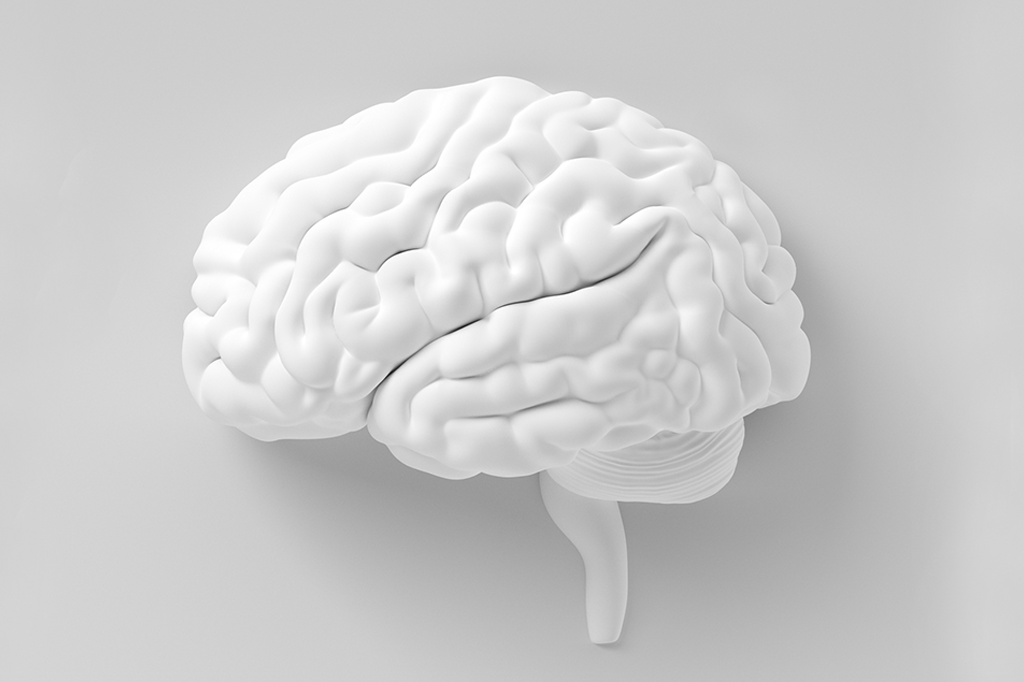 12 mitos populares sobre o funcionamento do cérebro