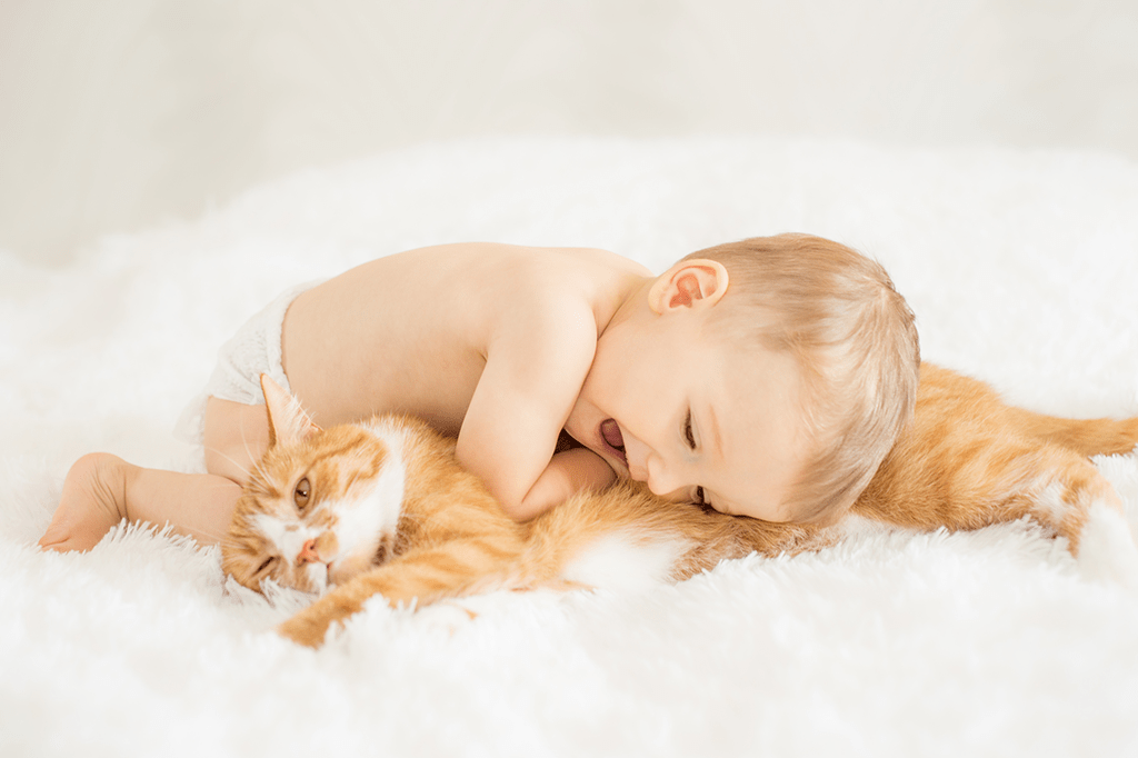 Bebês que convivem com gatos crescem mais resistentes à asma