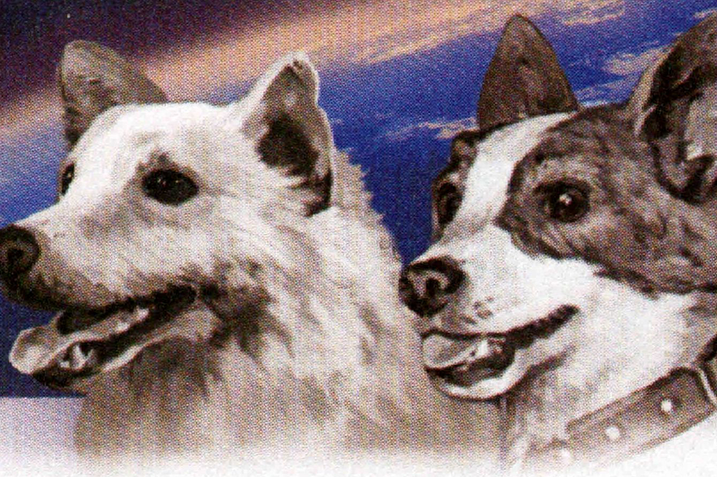 5 cachorros que mudaram a história da ciência