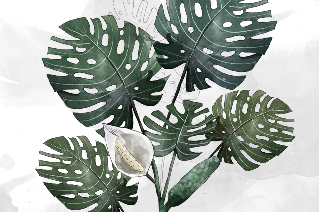 Mato de comer: o que são as plantas alimentícias não-convencionais