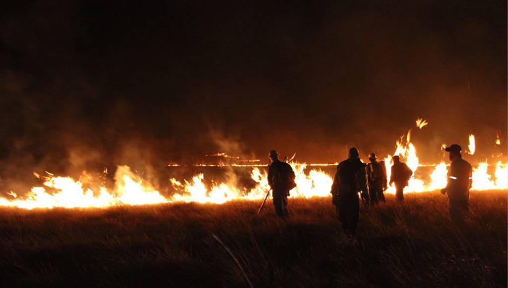 Campanha contra megaincêndio em Goiás arrecada R$ 350 mil