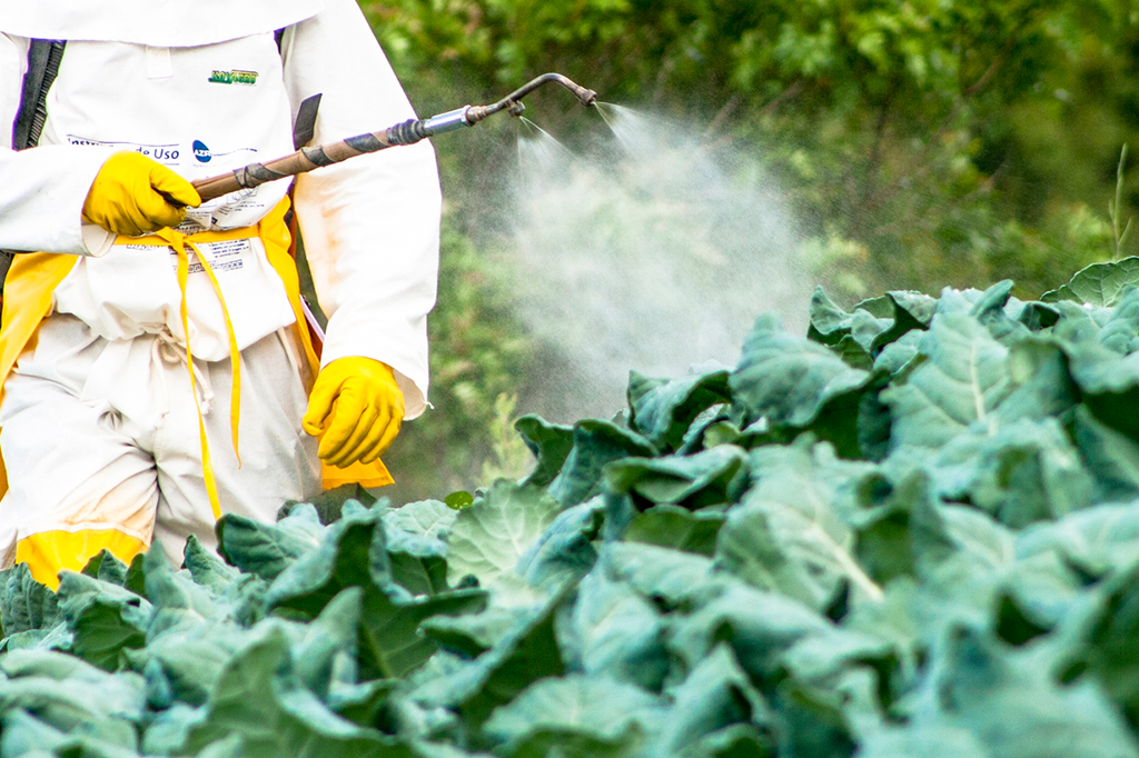 Conheça as pragas que ameaçam atingir o Brasil