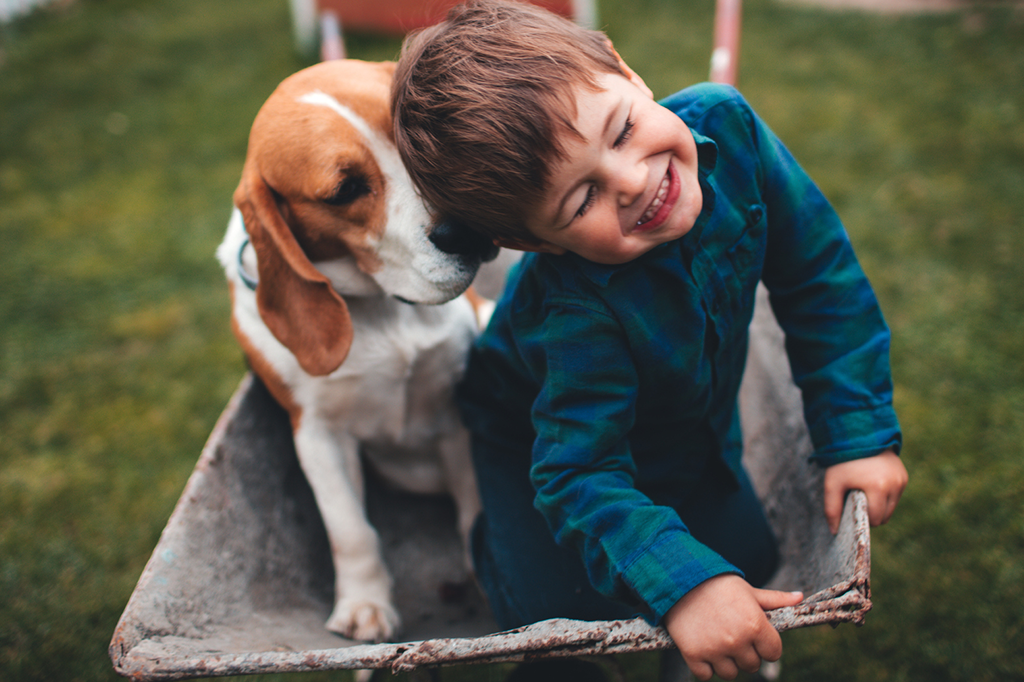 As espécies que mudaram o mundo: livro revela lado desconhecido da evolução