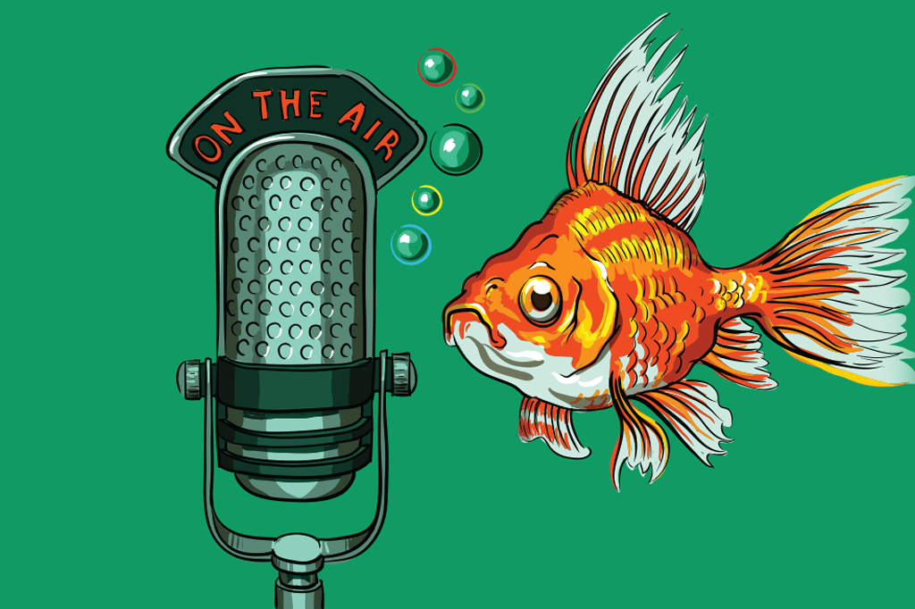 Peixe mexicano grita tanto para transar que golfinhos estão ficando surdos