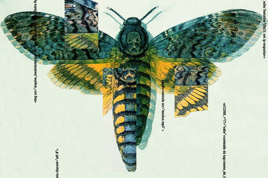 Cicada 3301: o que há por trás do maior mistério da Deep Web?