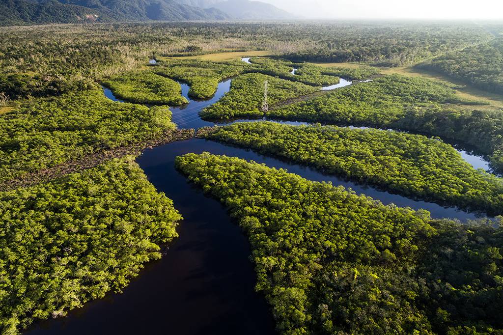 Pesquisa revela civilizações antigas com até 1 milhão de habitantes na Amazônia