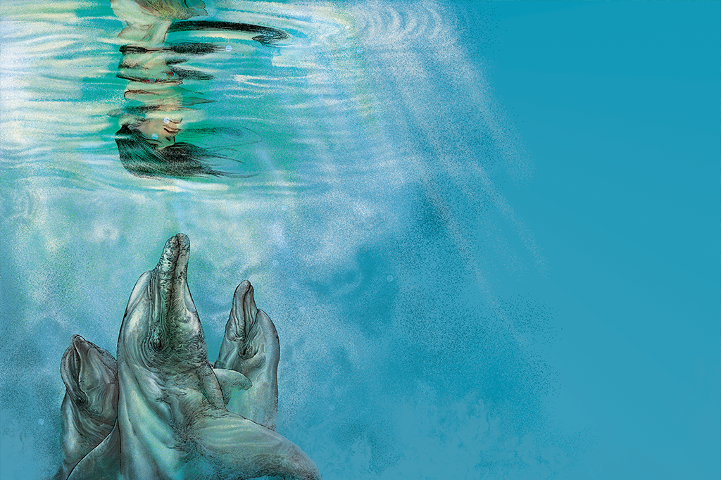 A verdadeira inteligência dos golfinhos