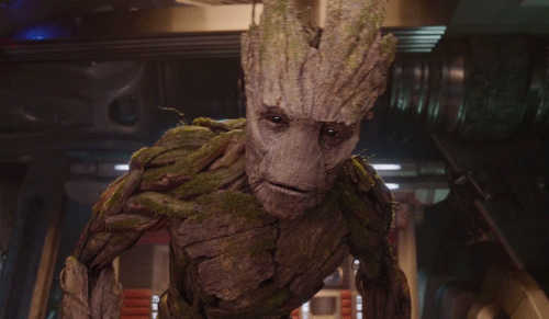 Groot Groot