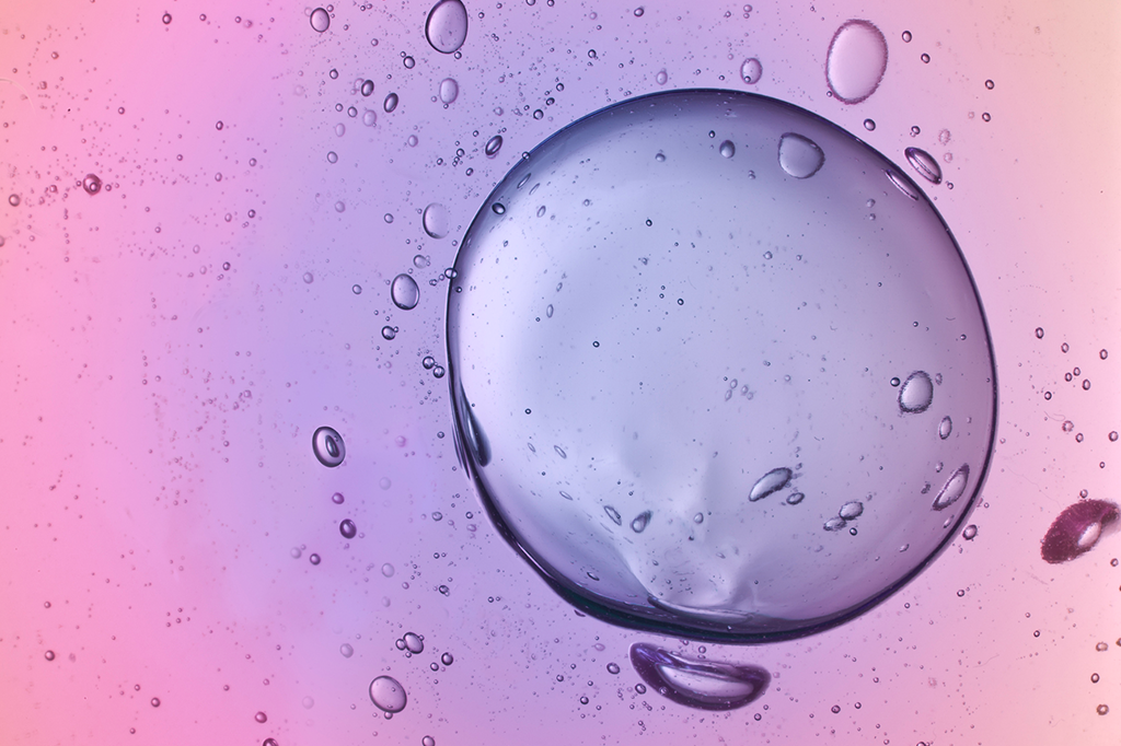 “Eu doei meus óvulos – e descobri algo que não queria”