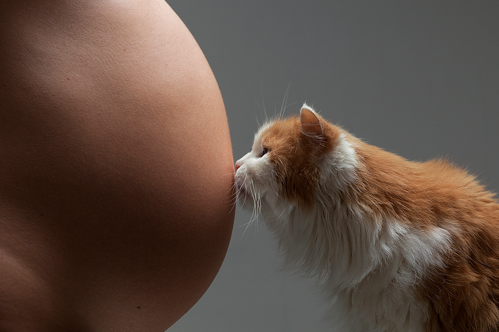 17 mitos e verdades sobre gravidez