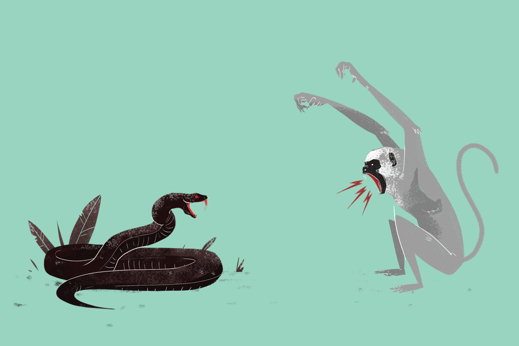 As origens egoístas do altruísmo