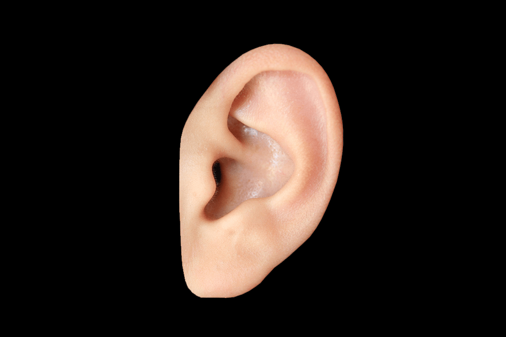 Qual a origem da expressão “ouvido de tuberculoso”?