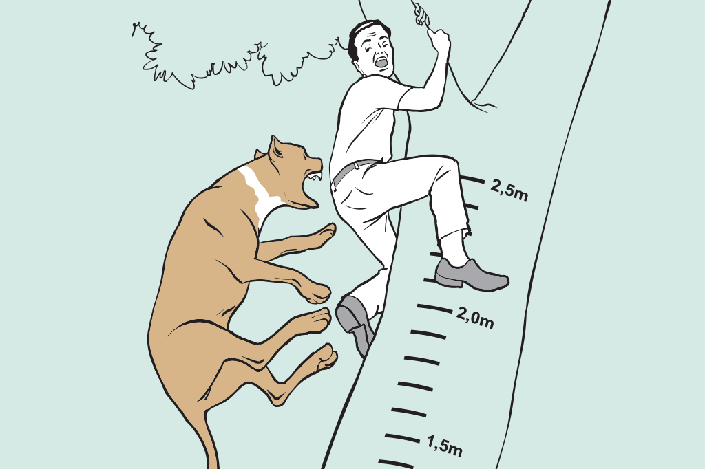 não-faça-2 não-faça-2