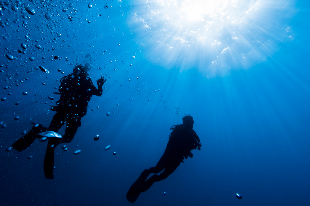 Qual seria o preço do Oceano Atlântico se fosse possível comercializá-lo?