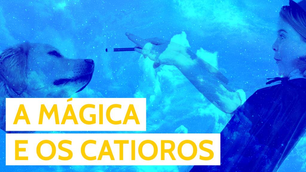 Os melhores GIFS de cachorros reagindo a truques