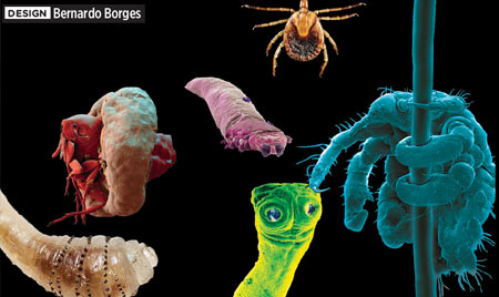 Que seres podem viver no corpo humano?