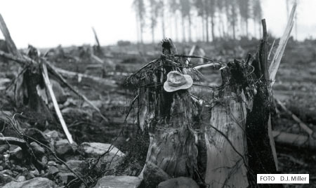 Qual foi o maior tsunami da história?