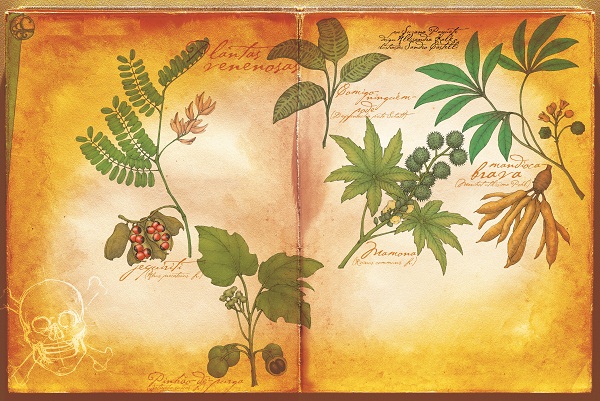 Quais são as plantas mais venenosas do mundo?